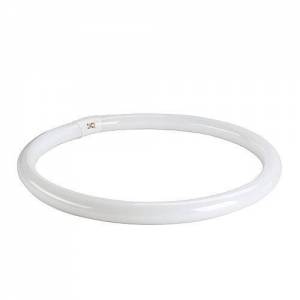 T8-Ringform Leuchtstofflampe, 40W, 4000K, G10q