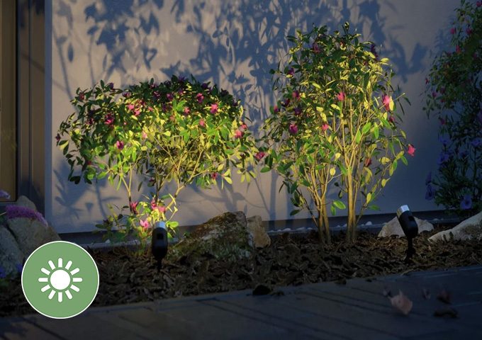 Plug & Shine 24V LED Gartenbeleuchtungssystem