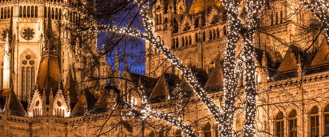 Wasserdichte und robuste Outdoor-Lichterketten für jede Jahreszeit