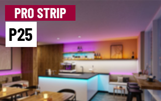 Pro LED Linie P25 Akzentlicht