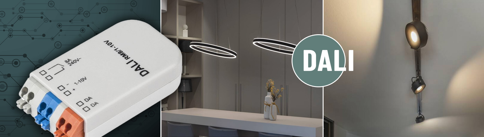 DALI Lichtsteuerung und DALI Leuchten