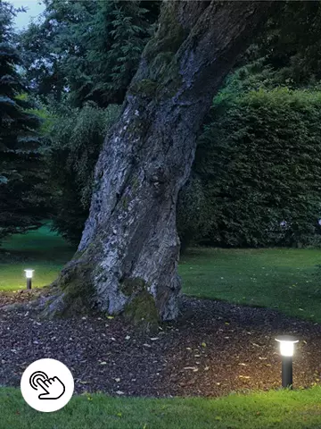 Stimmungsvolle Lichtakzente im Garten