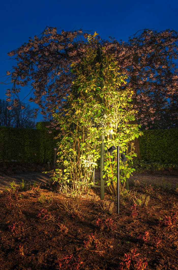 Lampen mit schwenkbaren Leuchtenköpfen bieten viel Flexibilität beim Ausleuchten bestimmter Baumbereiche