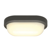 TERANG 200 Outdoor Wand- & Deckenleuchte LED anthrazit IP44 oval 3000K 11W