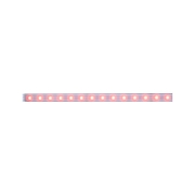 MaxLED 500 RGBW LED Strip beschichtet 1m 12W