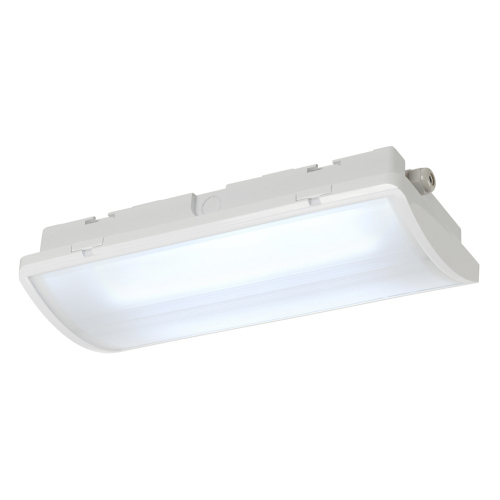 SLV P-LIGHT Emergency Series Emergency Light AREAL Light white