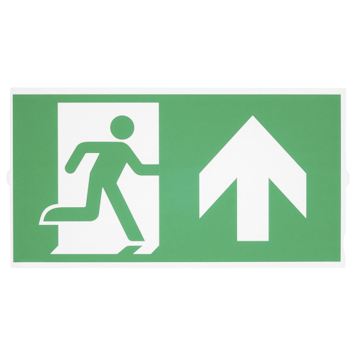 SLV P-LIGHT Emergency Series Stair Signs for Exit Wall, Ceiling, Pendant, big, green