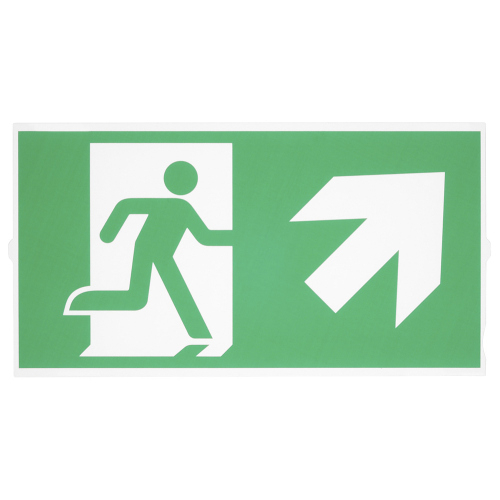SLV P-LIGHT Emergency Series Stair Signs for Exit Wall, Ceiling, Pendant, big, green