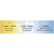 MaxLED 500 Strip unbeschichtet 1m Tunable White 6,2W