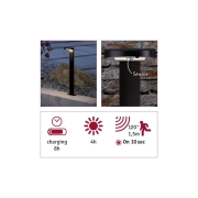 Outdoor Solar Pollerleuchte Ryse Anthrazit