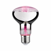 LED Grow Green Pflanzenlampe R80 E27 6,5 W