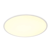 PANEL 60 DALI Indoor LED Deckenaufbauleuchten rund weiß 4000K