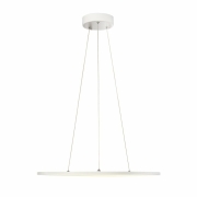 PANEL 60 DALI Indoor LED Pendelleuchten rund weiß 3000K