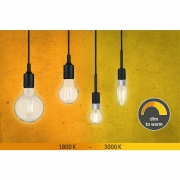 LED Globe 7 Watt E27 1.800 - 3.000K dim to warm