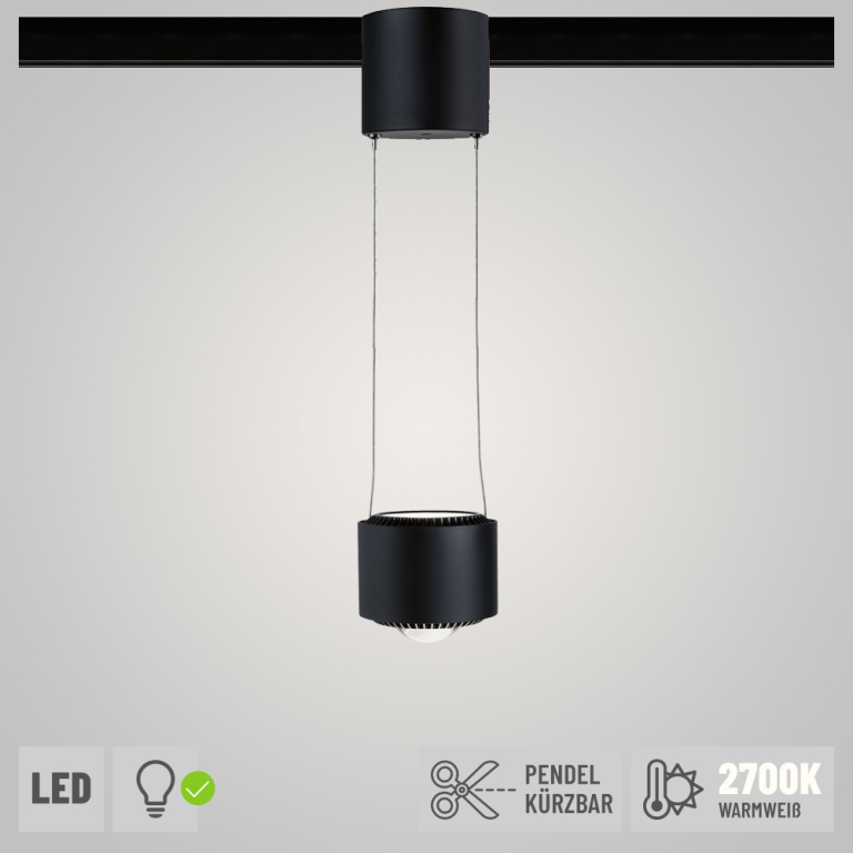 Paulmann URail LED Pendelleuchte Aldan Schwarz matt 8,5W 2700K dimmbar (LED fest verbaut)