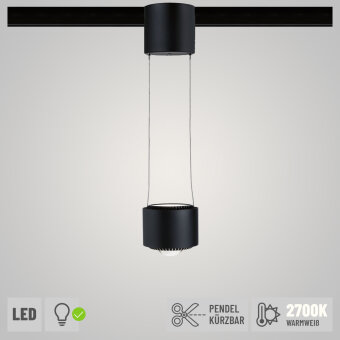 URail LED Pendelleuchte Aldan Schwarz matt 8,5W 2700K dimmbar (LED fest verbaut)