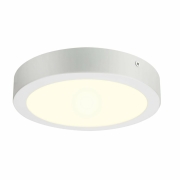 SENSER 24 CW, Indoor LED Wand- und Deckenaufbauleuchte rund weiß 4000K
