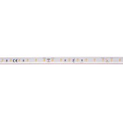GRAZIA IP FLEXSTRIP, 24V 700 lm/m IP55 2700K