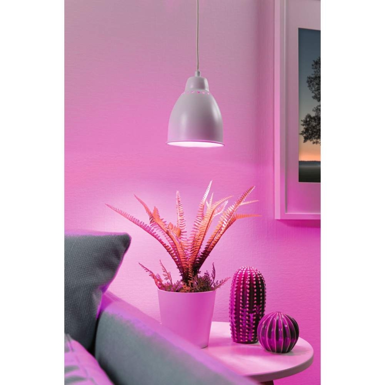 Paulmann Pendelleuchte Bundle Neordic Hilla 1x 6,5 Watt E27