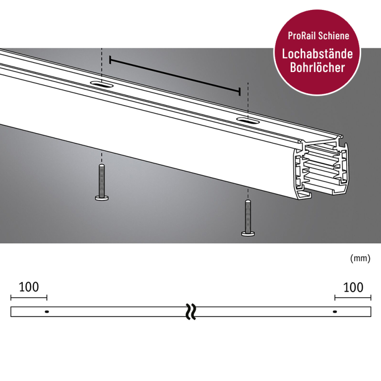 Paulmann ProRail3 Stromschiene 1m Silber 230V 3-Phasen Schienensystem
