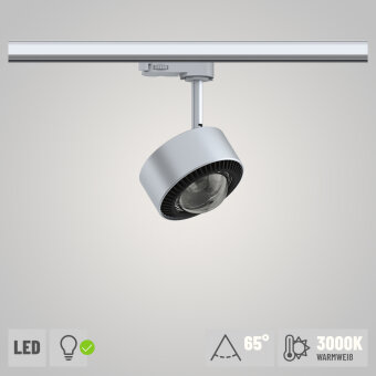 ProRail3 LED Spot Aldan silber schwarz 8,5W 65° 3.000K warmweiß dimmbar (LED fest verbaut)