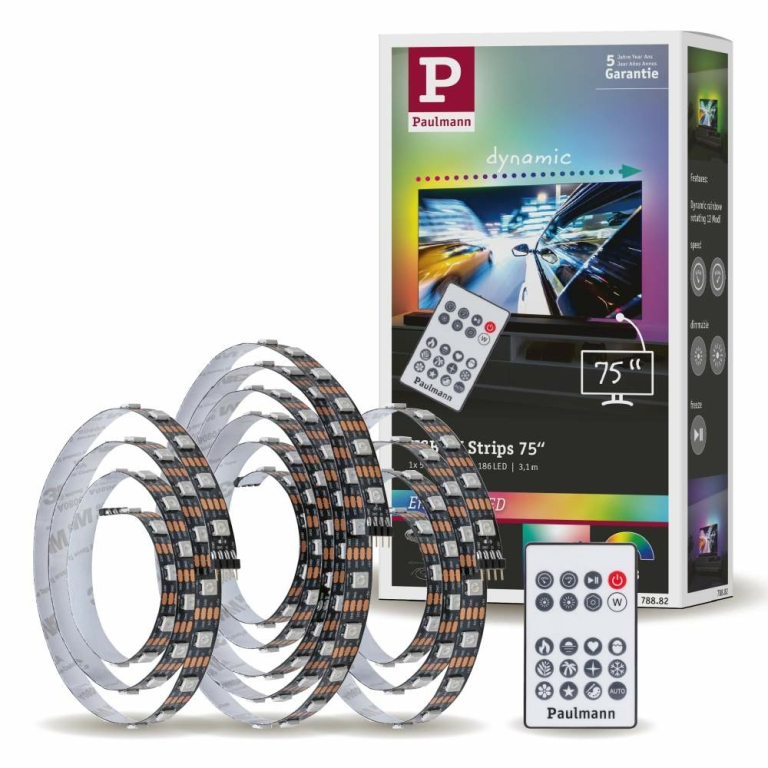 PAULMANN LICHT USB Leuchte (70885) LED USB Licht Kaltweiß