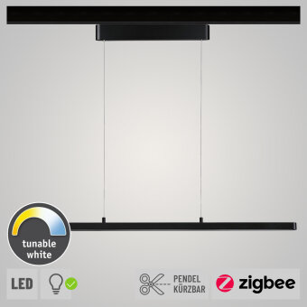 Paulmann URail LED Pendel Lento Schwarz matt ZigBee Tunable White dimmbar (LED fest verbaut)