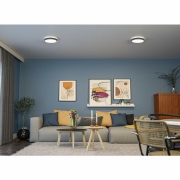 LED Panel Cosara  IP44 rund 300mm  15W 1300lm 4000K Dunkelgrau