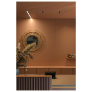 IN-LINE 22 48V TRACK, opal, DALI, Spot, schwarz / schwarz, 7.3W, 540lm, 2700K, CRI90, 95°