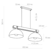 famlights | Pendelleuchte Michael in Schwarz E27 2-flammig