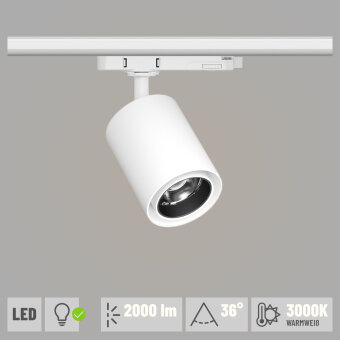Paulmann ProRail3 LED Schienenspot Kratos weiß 36° 2000lm 18.5W 3000K (LED fest verbaut)