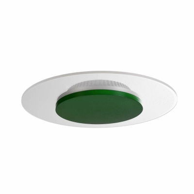 Deko-Light Deckenaufbauleuchte, Set, Zaniah 290 mm, 12 W, DIM, 3000 K, Cover Grün, 220-240 V/AC, 50 / 60 Hz