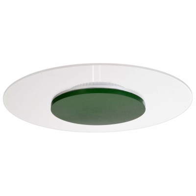 Deko-Light Deckenaufbauleuchte, Set, Zaniah 420 mm, 24 W, DIM, 3000 K, Cover Grün, 220-240 V/AC, 50 / 60 Hz