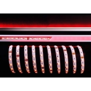 Stripe, Standard, SMD, 24V-13W, RGB, 5m, Spannungskonstant, 24 V/DC