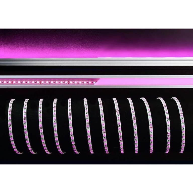 Deko-Light Stripe, Standard, SMD, 24V-11W, RGB, 5m, Spannungskonstant, 24 V/DC