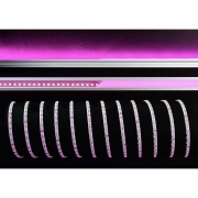 Stripe, Standard, SMD, 24V-11W, RGB, 5m, Spannungskonstant, 24 V/DC