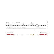 Stripe, Long Run, SMD, 24V-10W, 3000K, 10m, Spannungskonstant, 24 V/DC