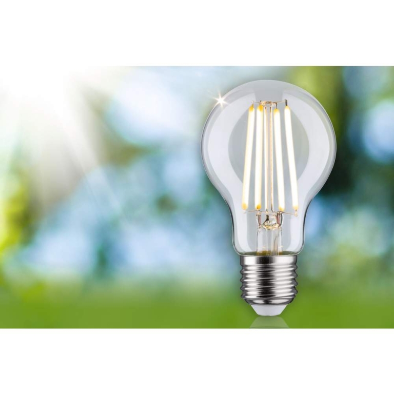Paulmann Eco-Line Filament 230V LED Birne E27 1er-Pack  525lm 2,5W 3000K  Klar