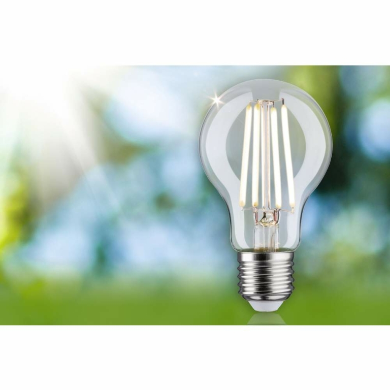 Paulmann Eco-Line Filament 230V LED Birne E27 1er-Pack  525lm 2,5W 4000K  Klar