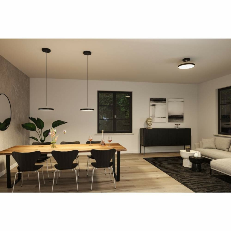 Paulmann LED Pendelleuchte Hildor 17W Schwarz matt Smart Home ZigBee 3.0