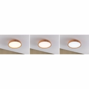 Selection Bathroom LED Deckenleuchte Oka IP44  White Switch 950lm 230V 24W  Holzoptik