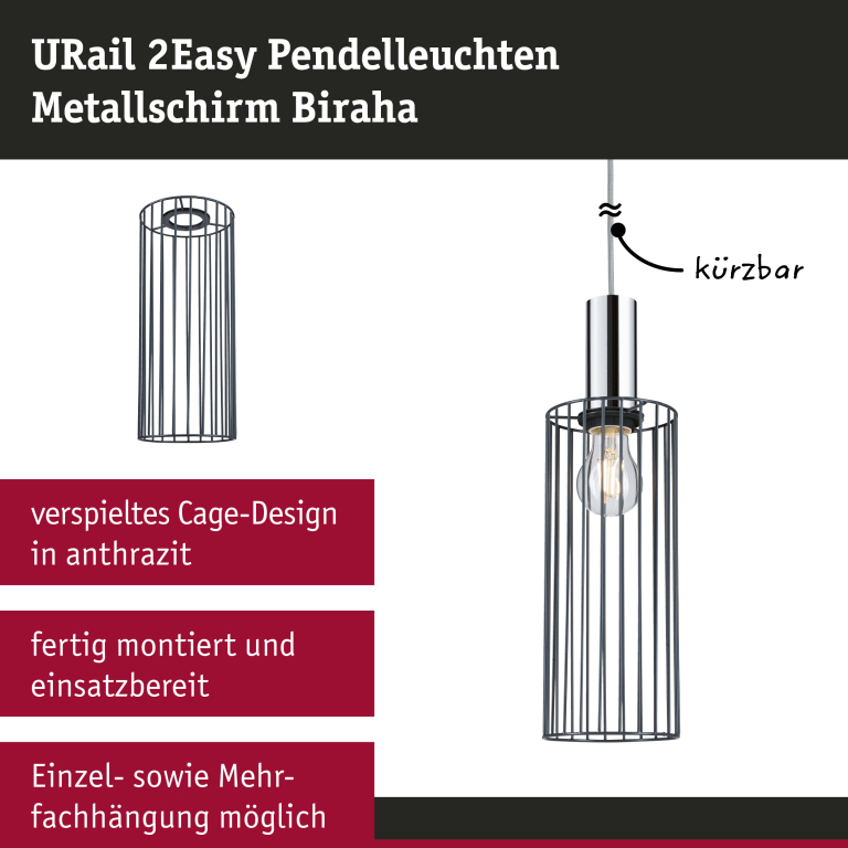 Paulmann URail 2Easy Metallschirm Biraha Anthrazit Cage-Design