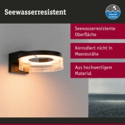 LED Außenwandleuchte Smart Home Zigbee 3.0 Capera Bewegungsmelder insektenfreundlich IP44  231mm Tunable Warm 12,5W 800lm 230V  Anthrazit Aluminium