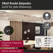 URail LED-Pendelleuchte Alejandro 10W 800lm 4000K 3-Step-Dim dimmbar Schwarz matt (LED fest verbaut)