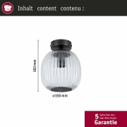LED Deckenleuchte Ruya Glas/Schwarz matt IP44 E14 max. 20W dimmbar 230V