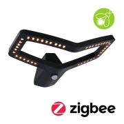 LED Außenwandleuchte Alara mit Bewegungsmelder eckig Anthrazit Goldlicht IP44 Smart Home ZigBee 230V