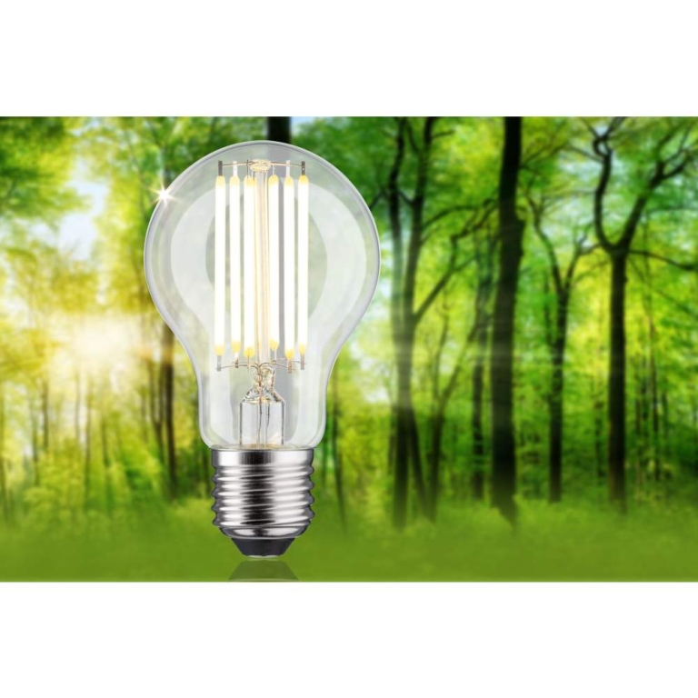 Paulmann Eco-Line Filament 230V LED Birne E27 1er-Set  1055lm 5W 3000K  Klar