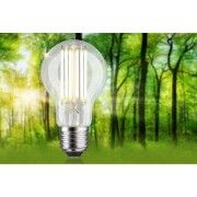 Eco-Line Filament 230V LED Birne E27 1er-Set  1055lm 5W 3000K  Klar