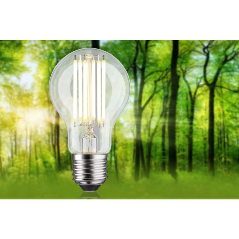Paulmann Eco-Line Filament 230V LED Birne E27 1er-Set  1521lm 7,2W 3000K  Klar