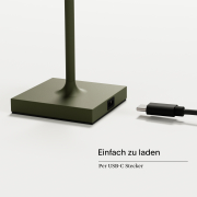 Akku-Tischleuchte Nuindie pocket 210mm tannengrün